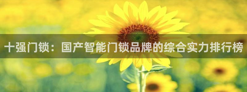 sbotop利记官网：十强门锁：国产智能门锁品牌的综合实力排