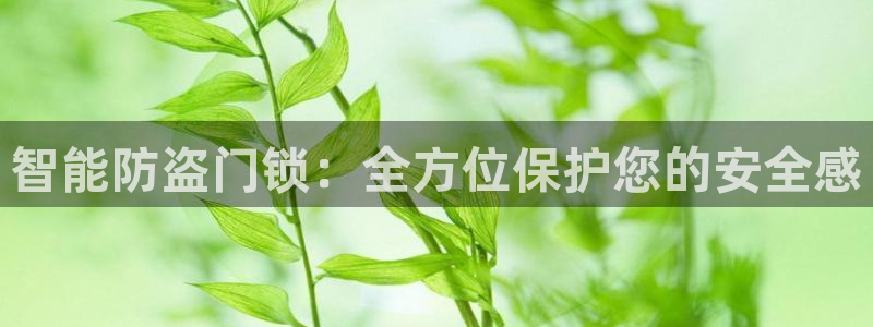 香港利记集团官网旗舰店：智能防盗门锁：全方位保护您的安全感