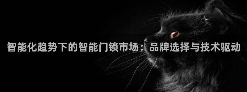 利记彩票平台官网：智能化趋势下的智能门锁市场：品牌选择与技术
