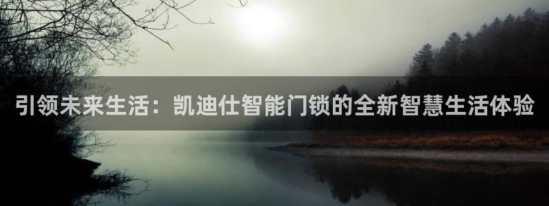 利记足球官网：引领未来生活：凯迪仕智能门锁的全新智慧生活体验