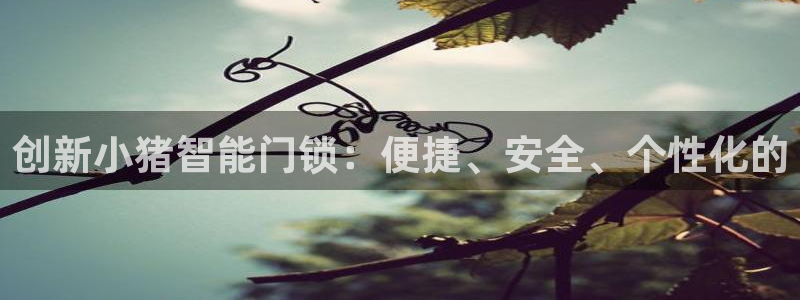 利记官网a：创新小猪智能门锁：便捷、安全、个性化的