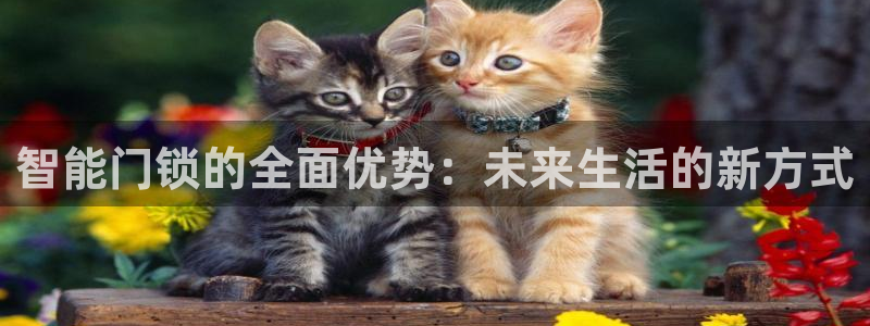 利记官网多少：智能门锁的全面优势：未来生活的新方式