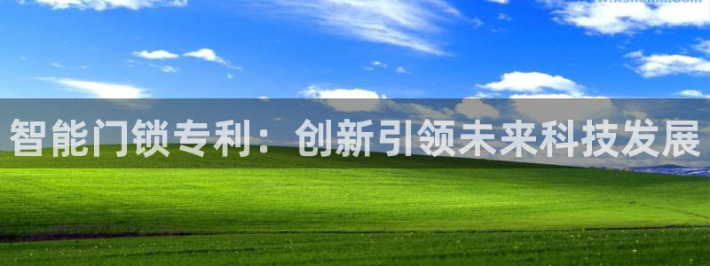 利记厨具官网售后：智能门锁专利：创新引领未来科技发展