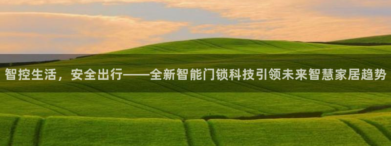 利记官网是什么：智控生活，安全出行——全新智能门锁科技引领未