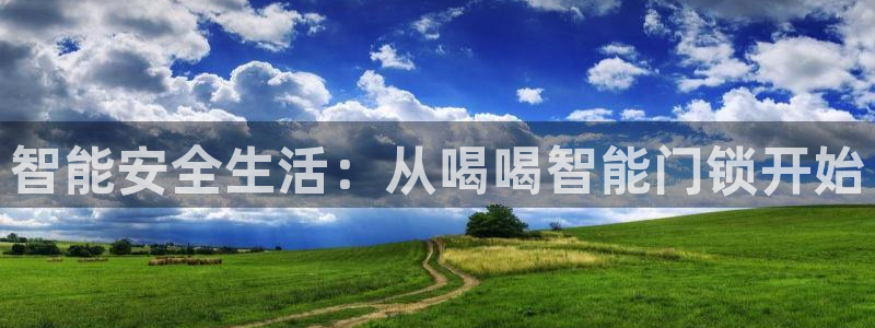 利记 官网：智能安全生活：从喝喝智能门锁开始