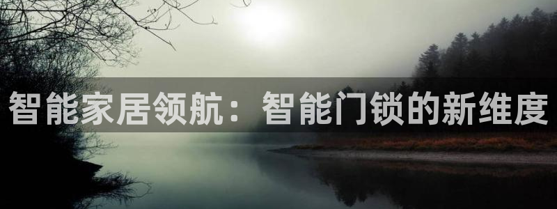 万利记官网：智能家居领航：智能门锁的新维度