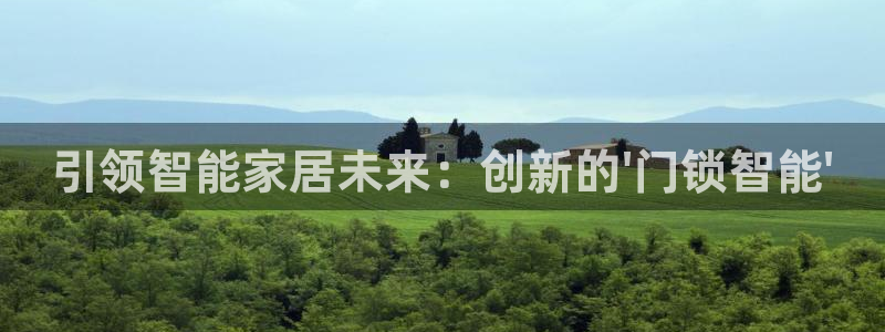 利记厨具官网客服电话：引领智能家居未来：创新的\'门锁智能\
