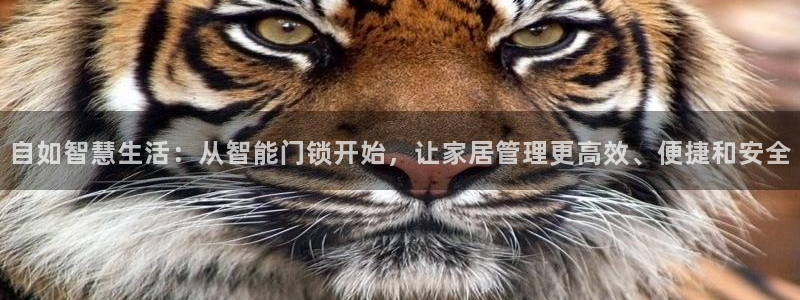 利记彩票官网：自如智慧生活：从智能门锁开始，让家居管理更高效