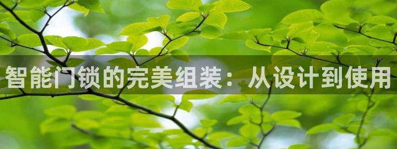 利记游戏开户ysb体育官方官网：智能门锁的完美组装：从设计到