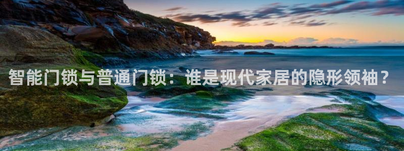 利记真的官网：智能门锁与普通门锁：谁是现代家居的隐形领袖？
