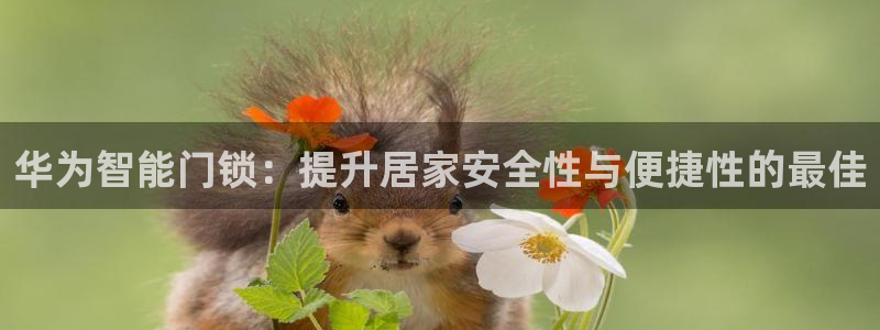 铂利记旗舰店官网：华为智能门锁：提升居家安全性与便捷性的最佳