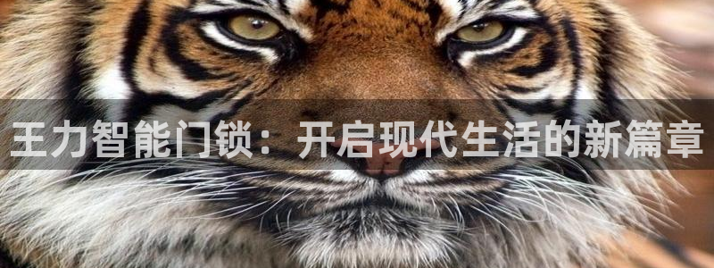 利记集团官网：王力智能门锁：开启现代生活的新篇章