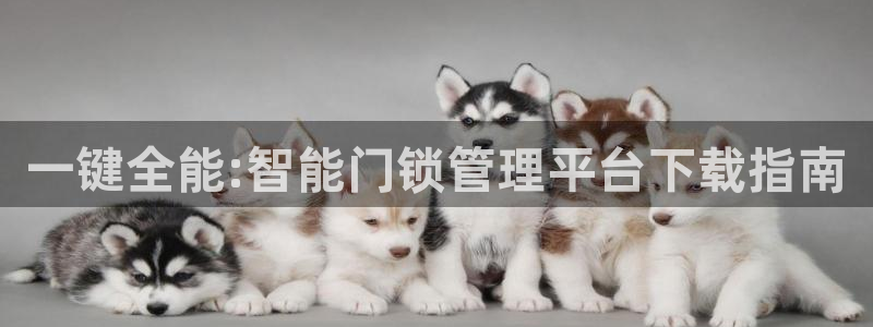 利记二手车行官网：一键全能:智能门锁管理平台下载指南