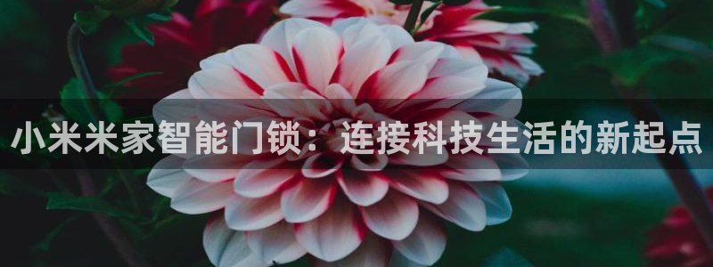 利记广告联盟官网：小米米家智能门锁：连接科技生活的新起点