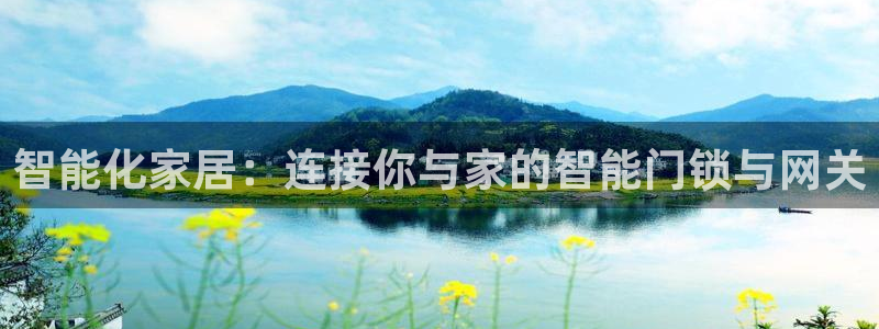 利记坊官网：智能化家居：连接你与家的智能门锁与网关