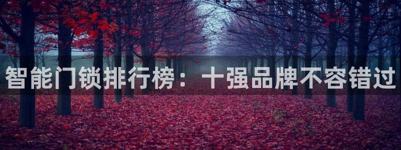 利记坊官网：智能门锁排行榜：十强品牌不容错过
