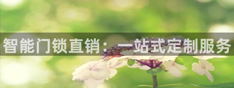利记娱乐网唯一官网：智能门锁直销：一站式定制服务