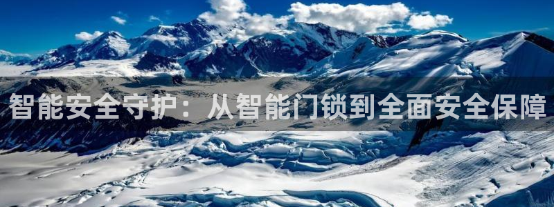 利记官网入口最新版：智能安全守护：从智能门锁到全面安全保障