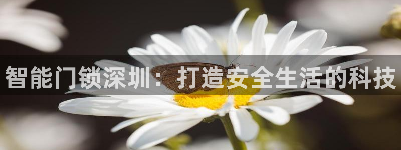 利记官网是真的吗：智能门锁深圳：打造安全生活的科技