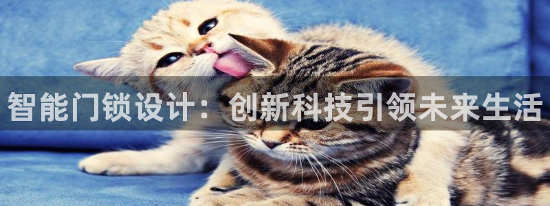利记游戏官网：智能门锁设计：创新科技引领未来生活
