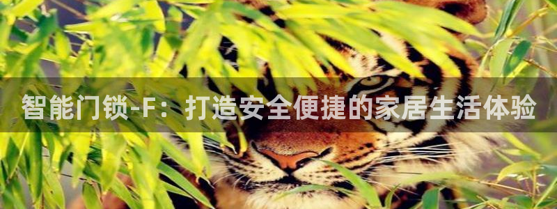 利记官网香菜1：智能门锁-F：打造安全便捷的家居生活体验