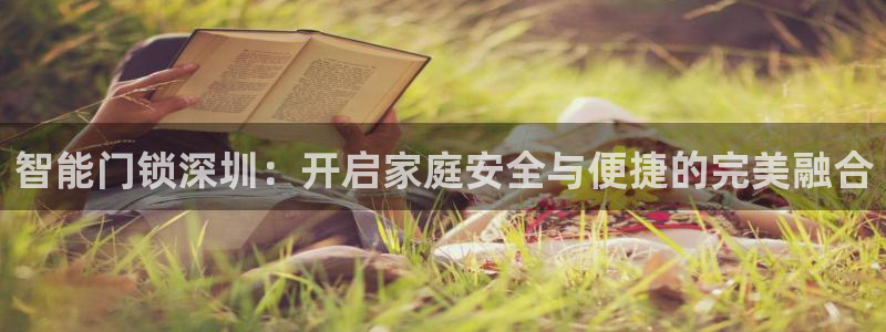 新利记官网：智能门锁深圳：开启家庭安全与便捷的完美融合