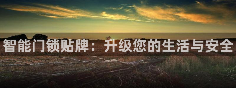 利记国际有限公司官网：智能门锁贴牌：升级您的生活与安全