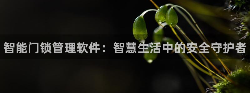利记官网香菜1：智能门锁管理软件：智慧生活中的安全守护者