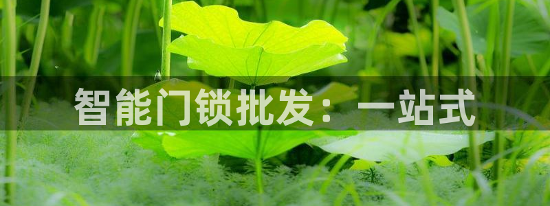 利记官网：智能门锁批发：一站式