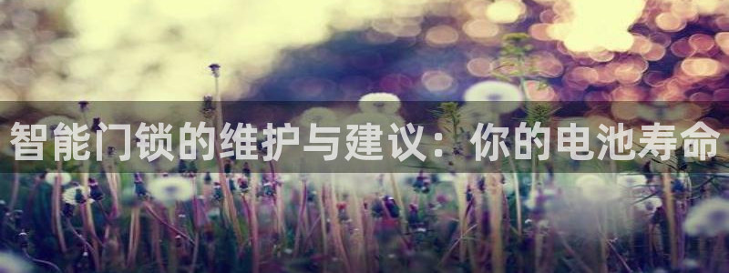 利记厨具官网售后：智能门锁的维护与建议：你的电池寿命