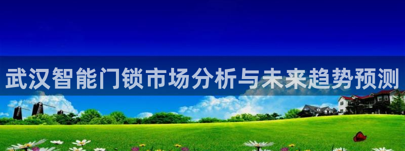 利记娱乐网官网：武汉智能门锁市场分析与未来趋势预测