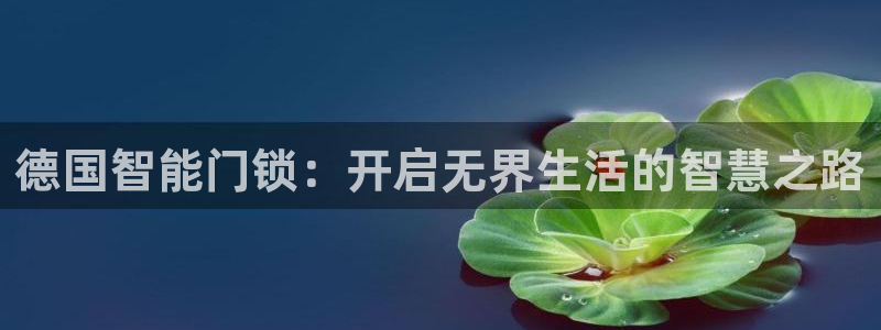 利记官网注册：德国智能门锁：开启无界生活的智慧之路