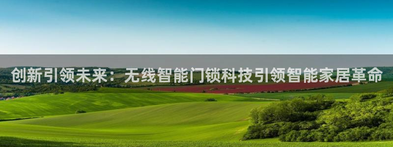 利记体育投注官网：创新引领未来：无线智能门锁科技引领智能家居