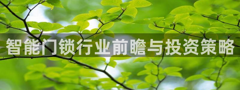 利记坊官网注册：智能门锁行业前瞻与投资策略