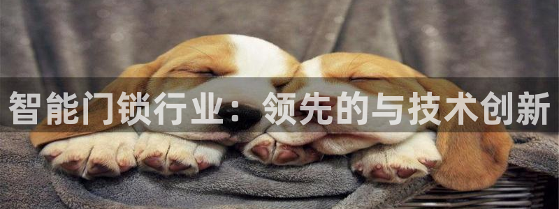 利记娱乐会员金钻官网：智能门锁行业：领先的与技术创新