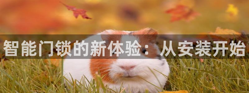 利记sbobet官网：智能门锁的新体验：从安装开始