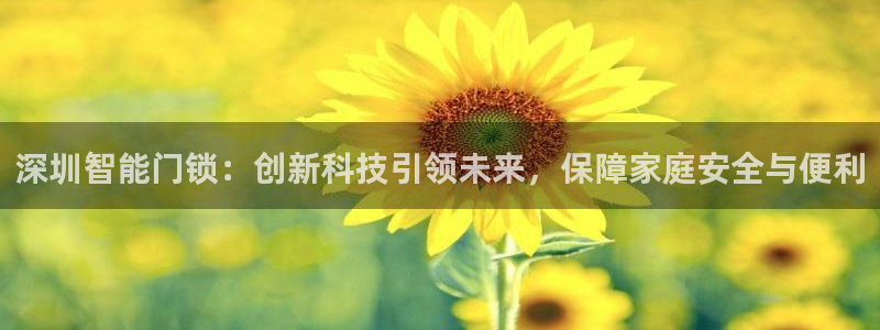 利记官网会员登录：深圳智能门锁：创新科技引领未来，保障家庭安