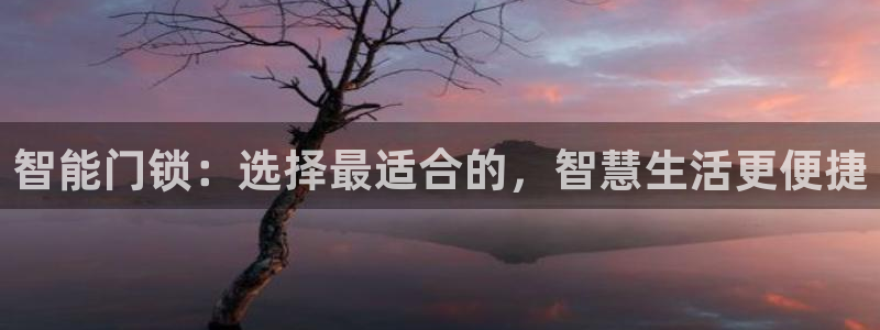 利记游戏官网：智能门锁：选择最适合的，智慧生活更便捷