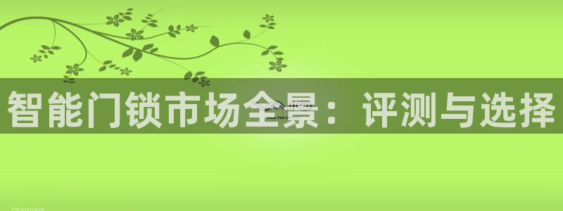 利记彩票官网：智能门锁市场全景：评测与选择