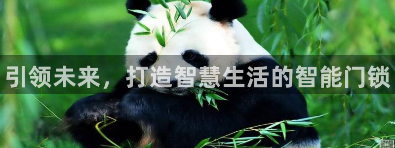 利记官网行业领导者：引领未来，打造智慧生活的智能门锁