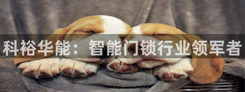 利记平台官网：科裕华能：智能门锁行业领军者
