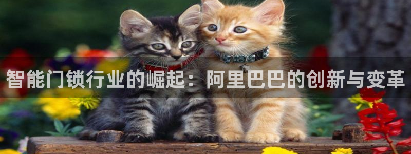 利记厨具官网客服电话：智能门锁行业的崛起：阿里巴巴的创新与变