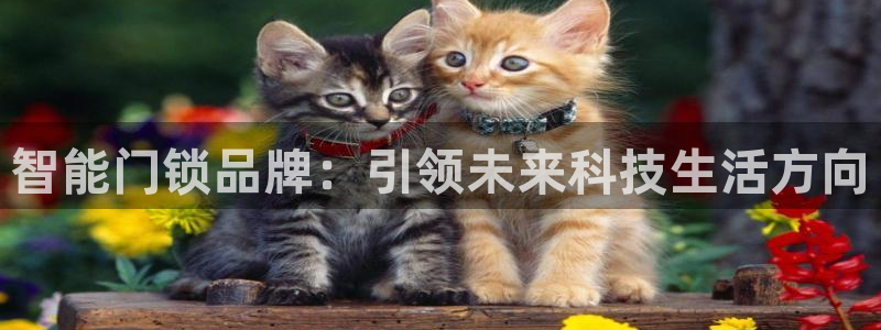 利记集团官网：智能门锁品牌：引领未来科技生活方向