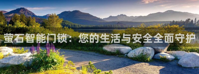 利记网址注册官网：萤石智能门锁：您的生活与安全全面守护
