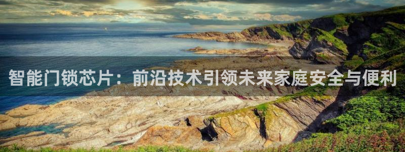 利记厨具官网售后：智能门锁芯片：前沿技术引领未来家庭安全与便