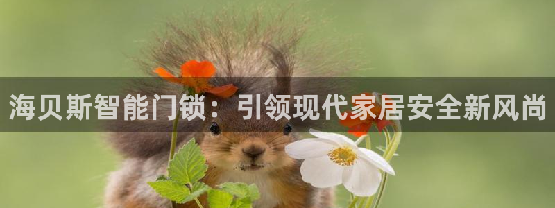 利记厨具官网客服电话：海贝斯智能门锁：引领现代家居安全新风尚