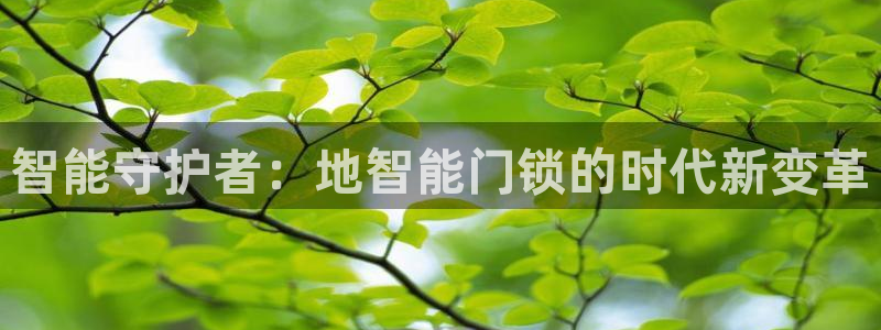 利记官网app下载网址日博官网网址：智能守护者：地智能门锁的