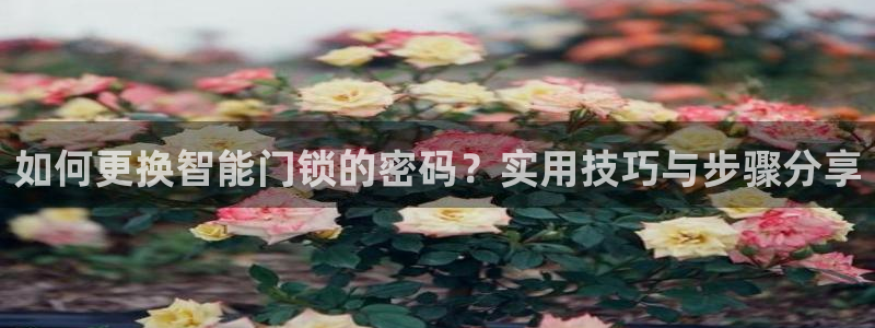 万利记菜单价格查询官网：如何更换智能门锁的密码？实用技巧与步