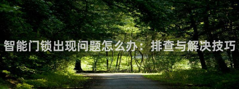 利记二手车行官网：智能门锁出现问题怎么办：排查与解决技巧