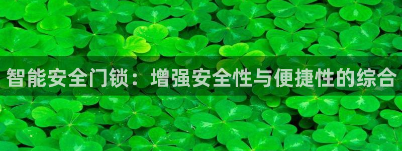 利记游戏开户ysb体育官方官网：智能安全门锁：增强安全性与便
